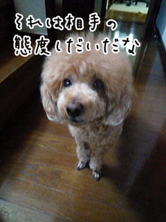 P1040007.jpg