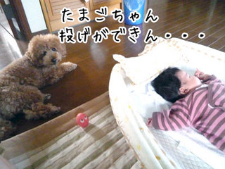 P1040237.jpg